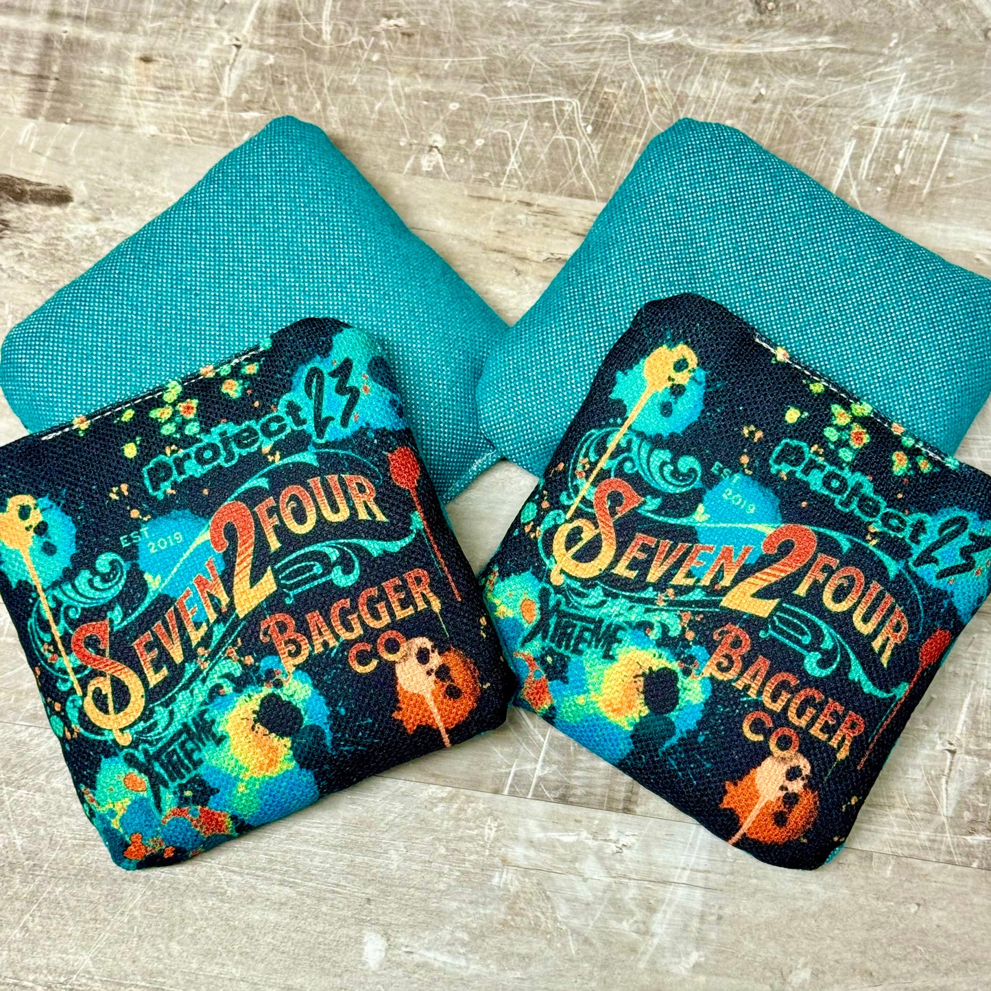 PROJECT 23-THE OLD GUITARIST