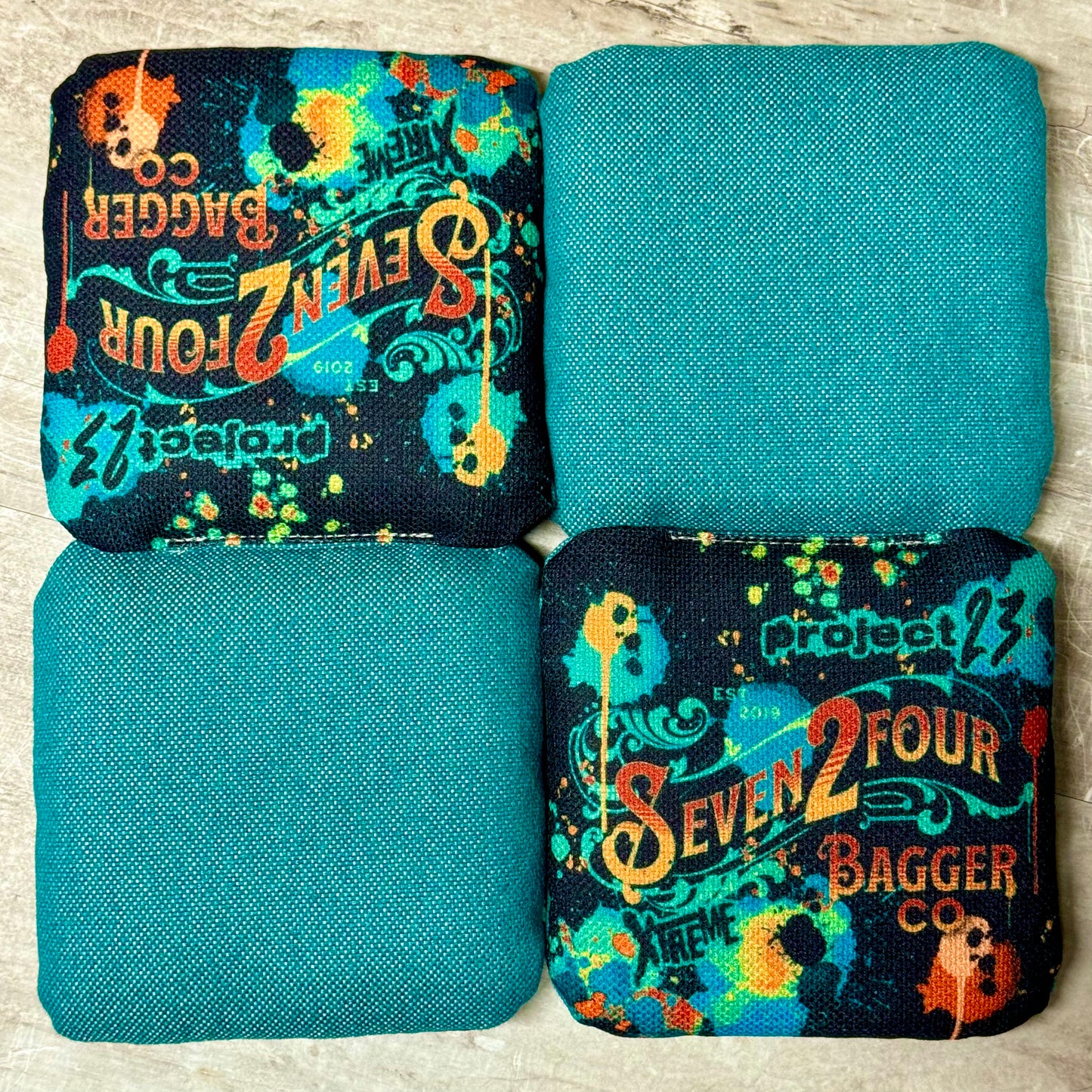 PROJECT 23-THE OLD GUITARIST