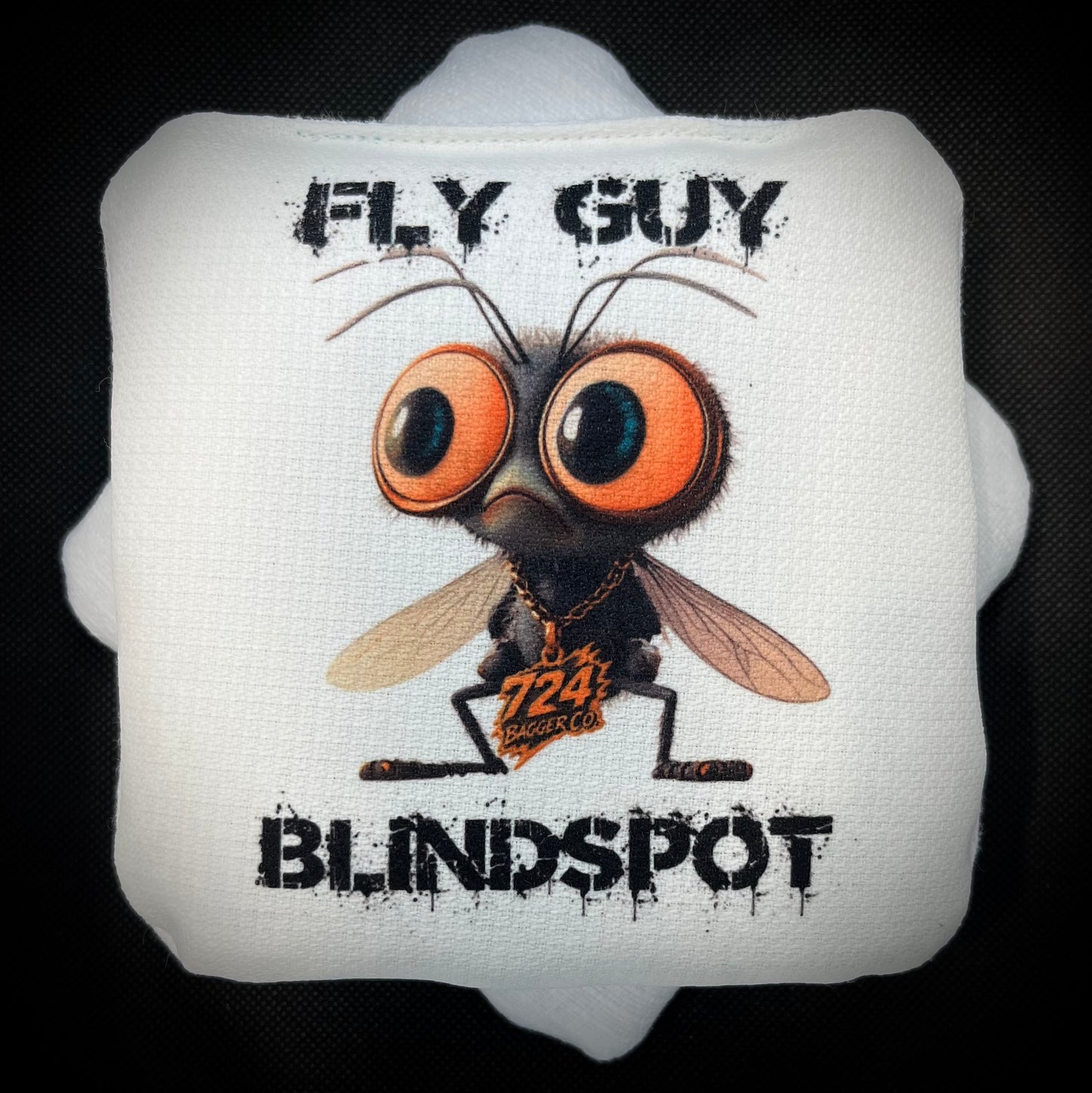 BLINDSPOT-“FLY GUY”