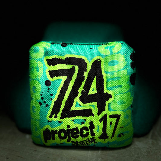 PROJECT 17-MONSTERS INC